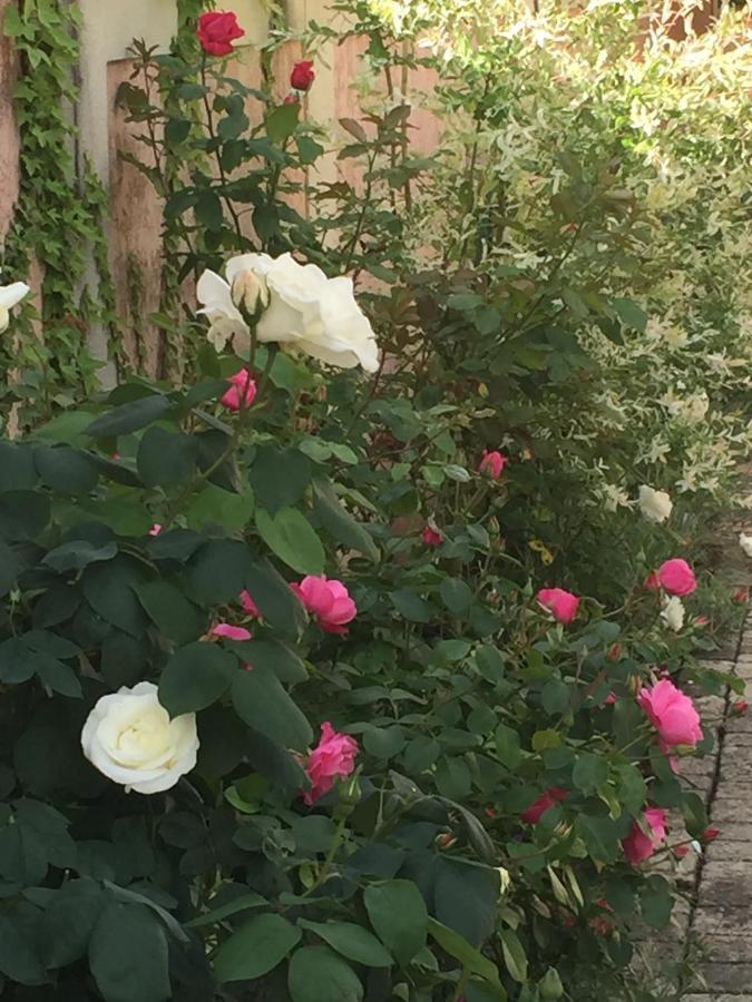 Rose Garden Mezzanine Bed and Breakfast Giverny Exterior foto